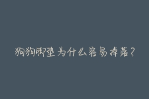 狗狗脚垫为什么容易掉落?