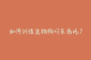 如何训练宠物狗叼东西吃?