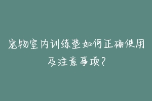 宠物室内训练垫如何正确使用及注意事项?