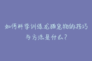如何科学训练龙猫宠物的技巧与方法是什么?