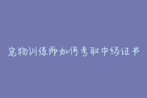 宠物训练师如何考取中级证书