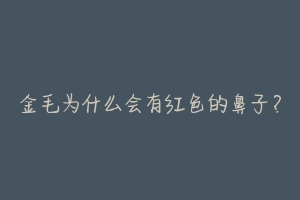 金毛为什么会有红色的鼻子?