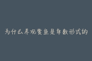 为什么养观赏鱼是单数形式的