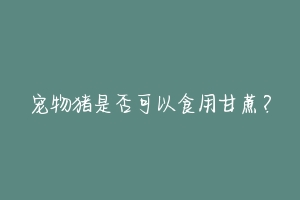 宠物猪是否可以食用甘蔗?