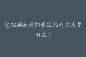 宠物猫流感的最佳治疗方法是什么？