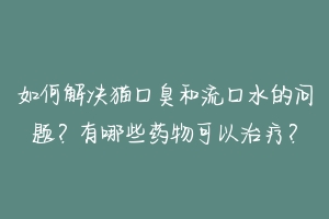 如何解决猫口臭和流口水的问题？有哪些药物可以治疗？
