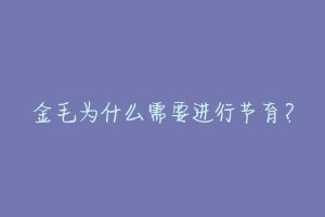 金毛为什么需要进行节育?