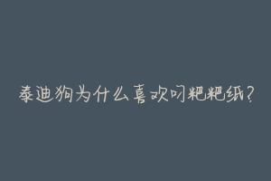 泰迪狗为什么喜欢叼粑粑纸?