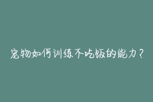 宠物如何训练不吃饭的能力?