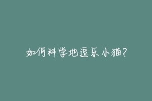 如何科学地逗乐小猫?