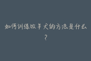 如何训练牧羊犬的方法是什么?