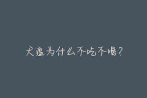 犬瘟为什么不吃不喝?