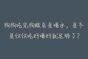 狗狗吃完狗粮总是喝水,是不是仅仅吃好喝好就足够了?