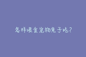怎样喂食宠物兔子吃?
