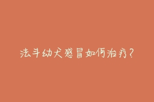 法斗幼犬感冒如何治疗?