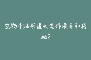 宠物牛油果罐头怎样喂养和搭配?