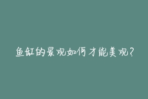 鱼缸的景观如何才能美观?