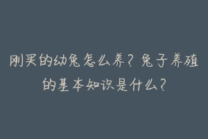 刚买的幼兔怎么养?兔子养殖的基本知识是什么?