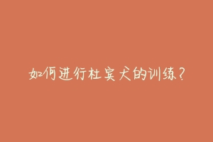 如何进行杜宾犬的训练?