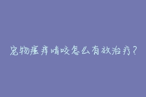 宠物瘙痒啃咬怎么有效治疗?