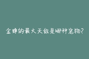 金蝉的最大天敌是哪种宠物?