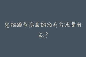 宠物猫多病菌的治疗方法是什么?
