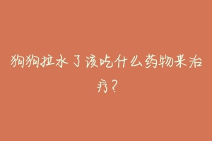 狗狗拉水了该吃什么药物来治疗?