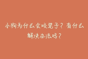 小狗为什么会咬笼子?有什么解决办法吗?