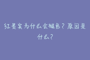红贵宾为什么会褪色?原因是什么?