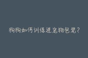狗狗如何训练进宠物包笼?