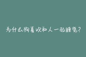 为什么狗喜欢和人一起睡觉?