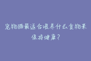 宠物猫最适合喂养什么食物来保持健康?