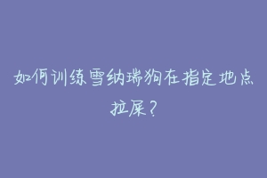 如何训练雪纳瑞狗在指定地点拉屎?