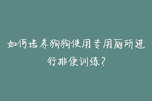如何培养狗狗使用专用厕所进行排便训练?