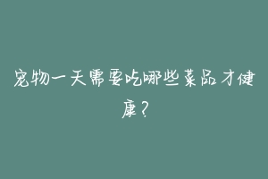 宠物一天需要吃哪些菜品才健康?