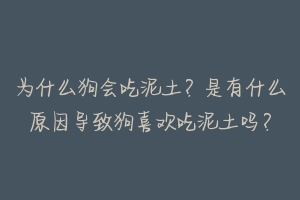 为什么狗会吃泥土?是有什么原因导致狗喜欢吃泥土吗?