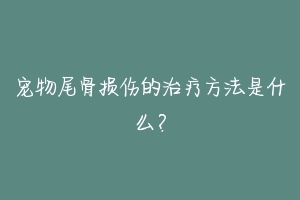 宠物尾骨损伤的治疗方法是什么?