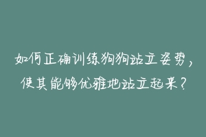 如何正确训练狗狗站立姿势,使其能够优雅地站立起来?