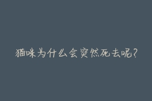 猫咪为什么会突然死去呢?