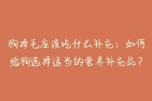 狗掉毛应该吃什么补充:如何给狗选择适当的营养补充品?