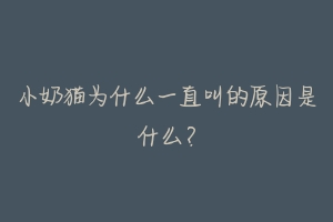 小奶猫为什么一直叫的原因是什么?