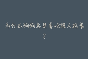 为什么狗狗总是喜欢被人抱着?