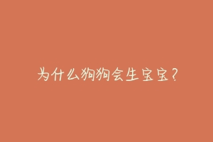 为什么狗狗会生宝宝?