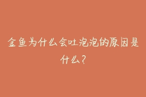 金鱼为什么会吐泡泡的原因是什么?