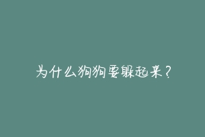 为什么狗狗要躲起来?