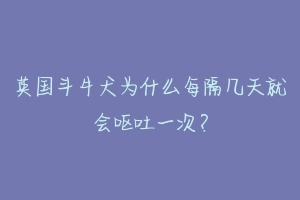 英国斗牛犬为什么每隔几天就会呕吐一次?