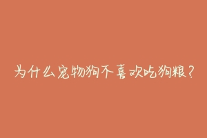 为什么宠物狗不喜欢吃狗粮?