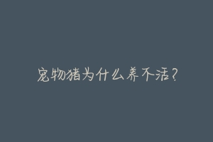 宠物猪为什么养不活?