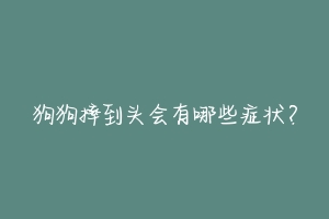 狗狗摔到头会有哪些症状?