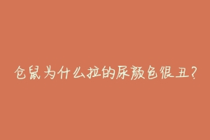 仓鼠为什么拉的尿颜色很丑?